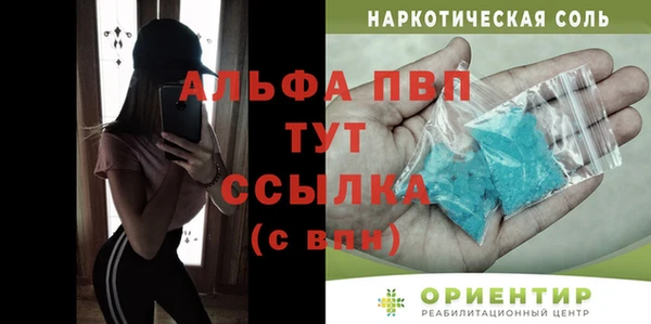 apvp Ельня
