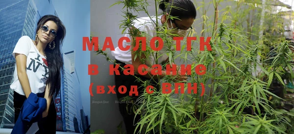 apvp Ельня