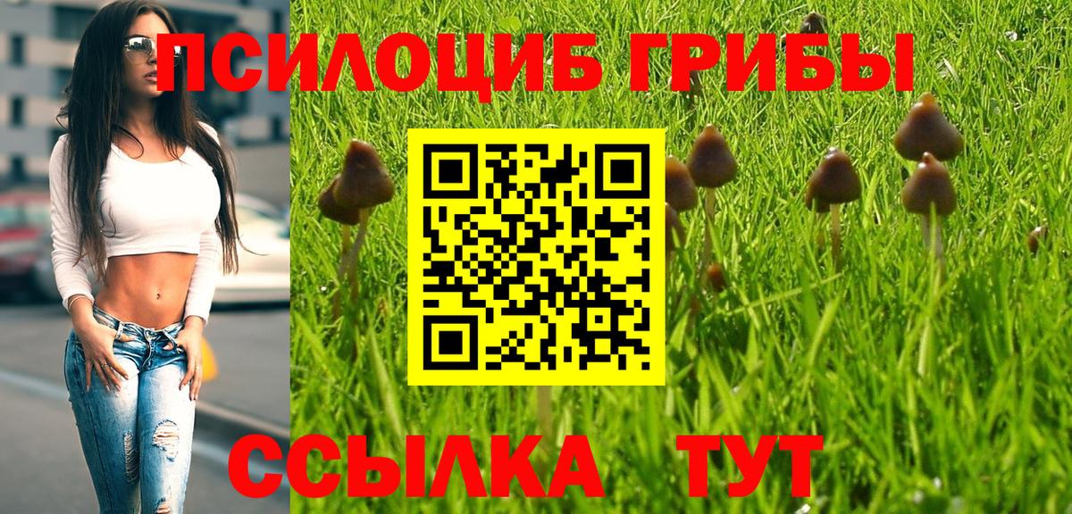 Галлюциногенные грибы Cubensis Ивантеевка