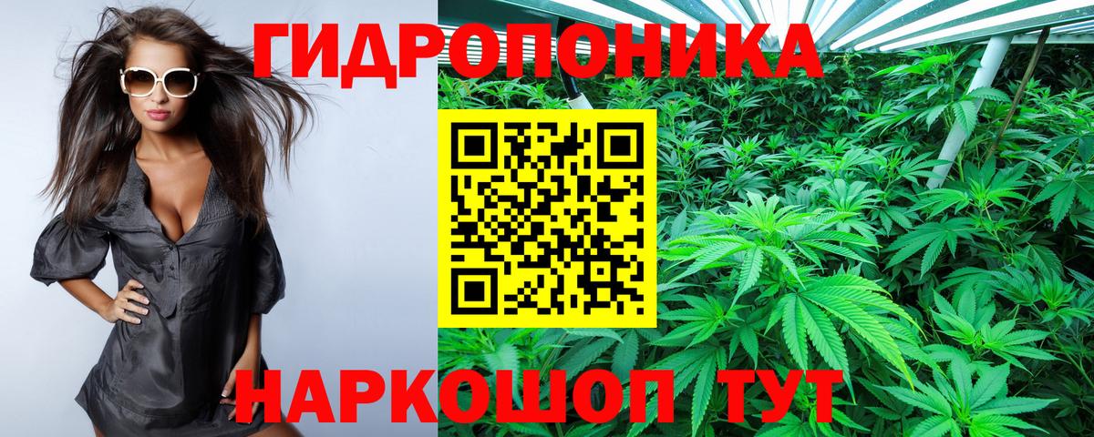 Конопля Bruce Banner Ивантеевка